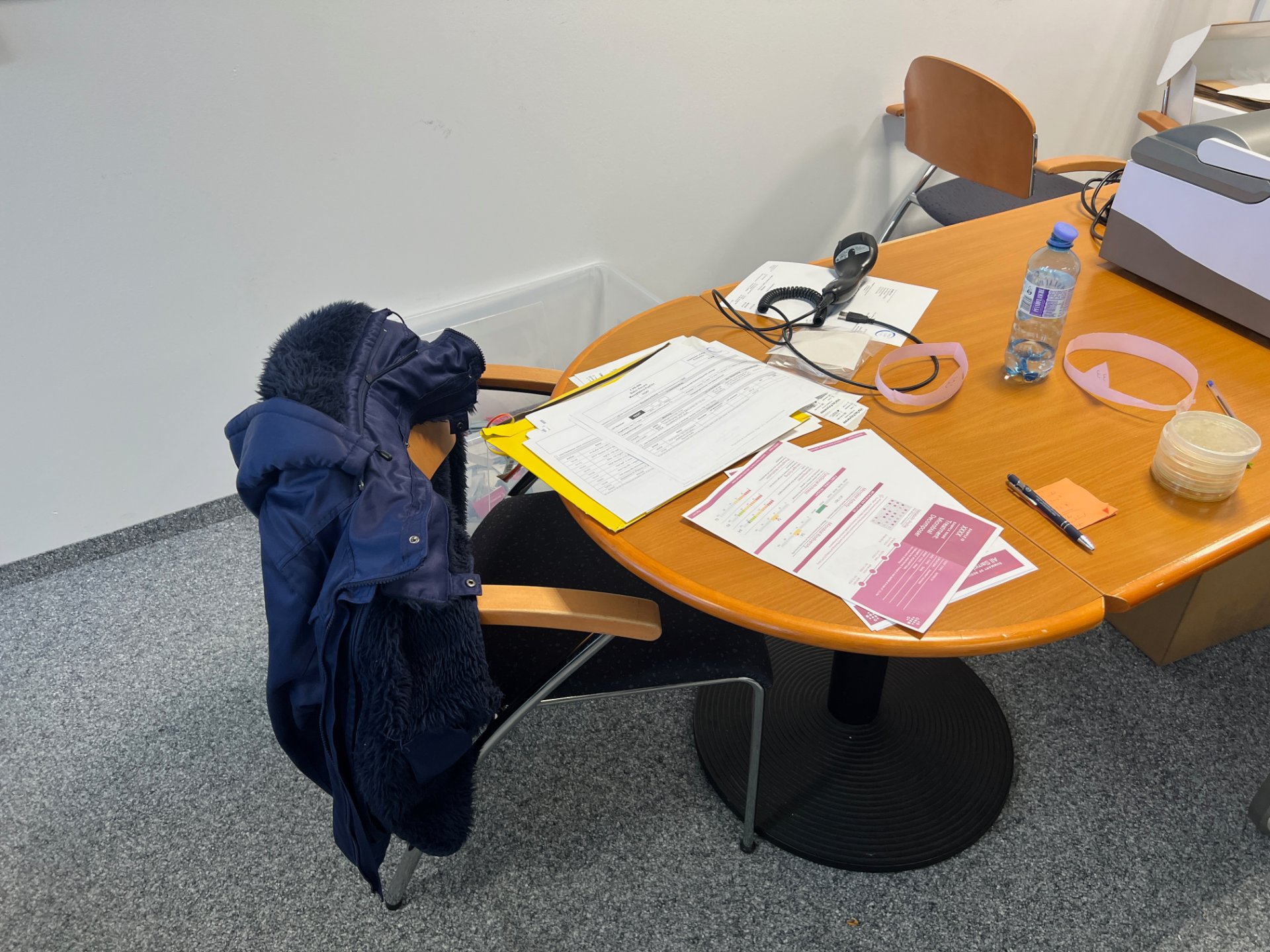 Freischwinger und 2 Besprechungsstühle, Position 2 Stück – Bild 2