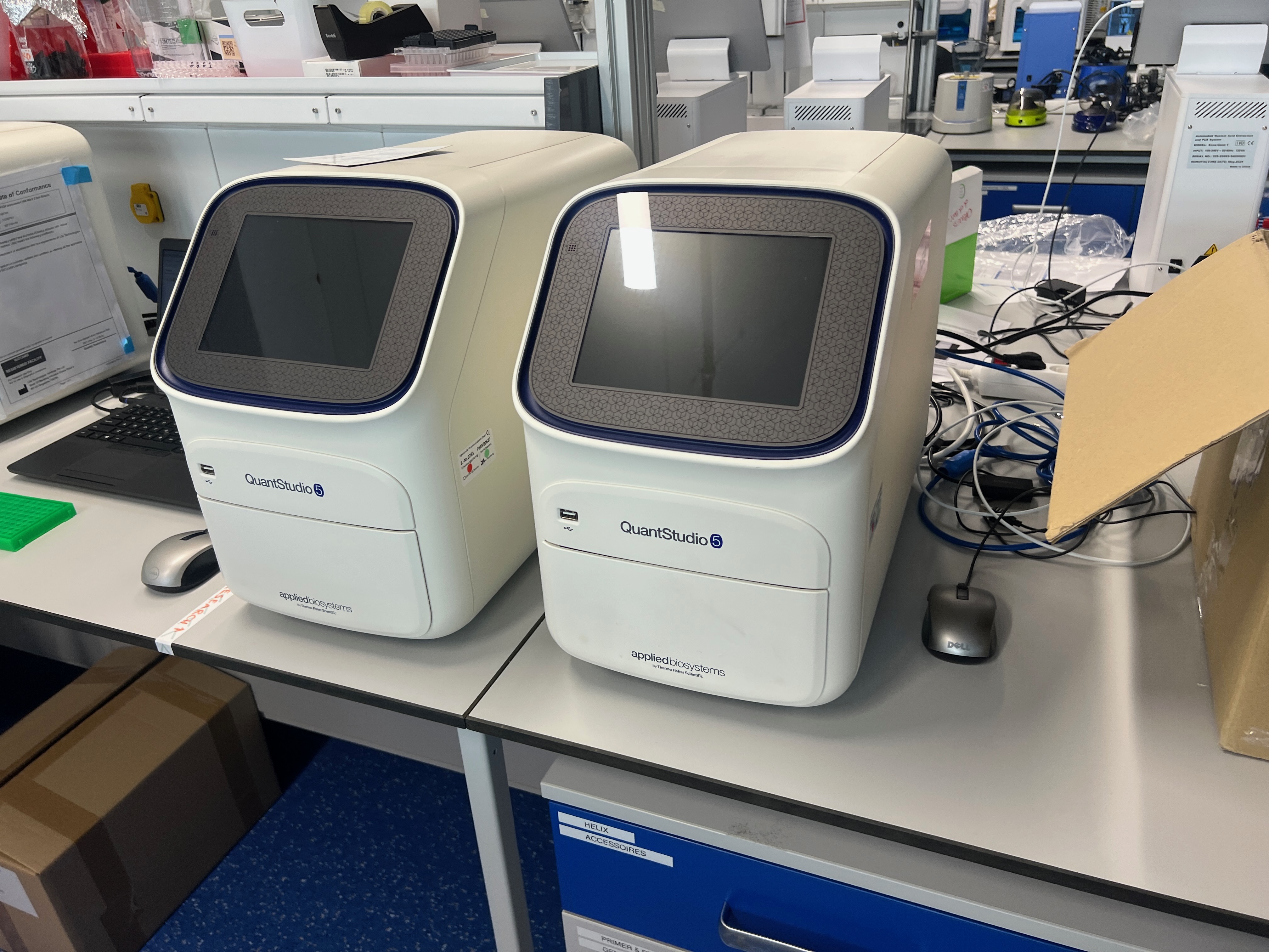Echtzeit PCR System appliedbiosystems QuantStudio 5 Real Time, Position 3 Stück